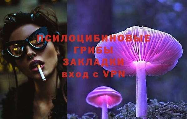 PSILOCYBIN Беломорск